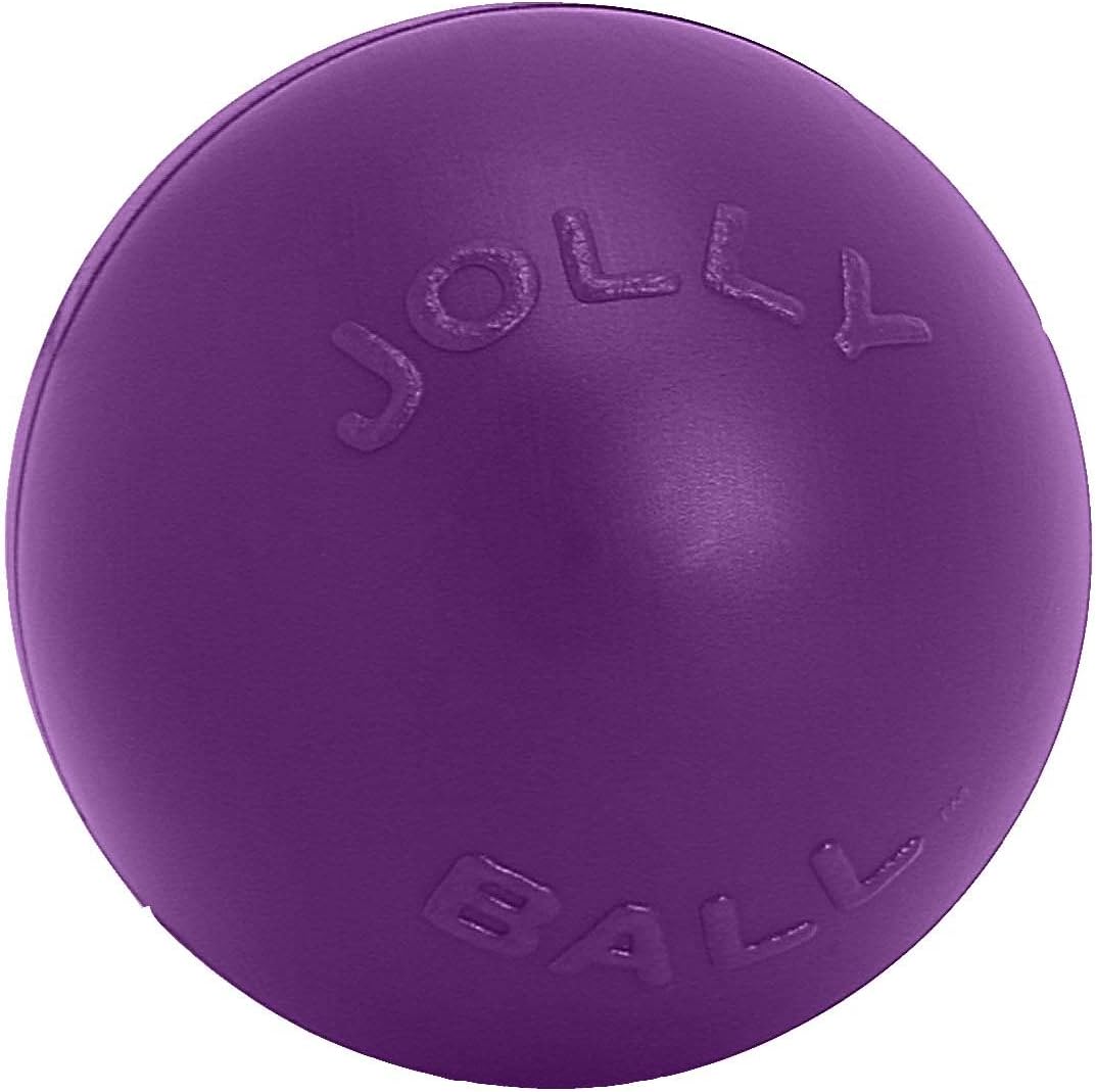 Dog playing with blue Jolly Pets Push-n-Play ball