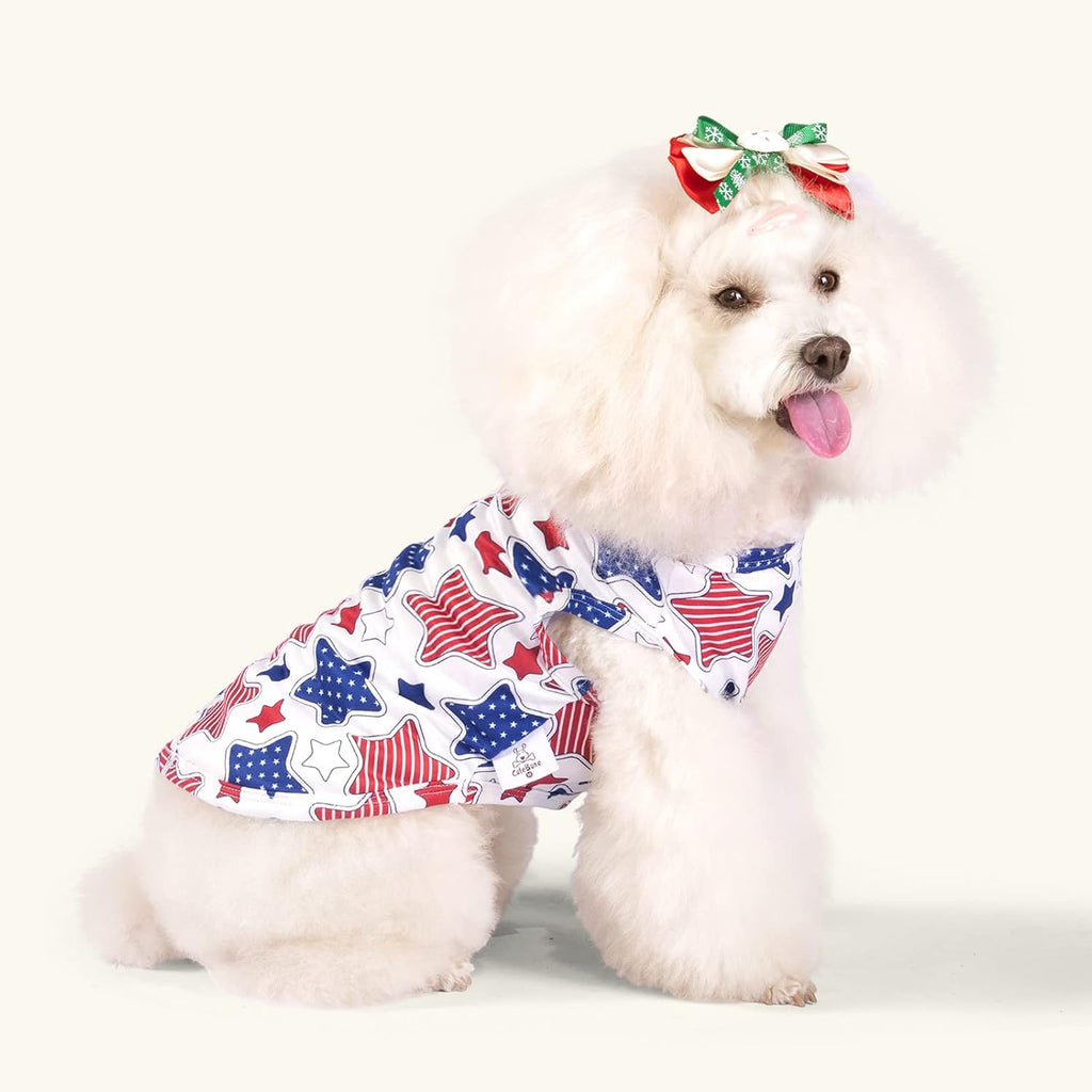 Two cute dogs posing in CuteBone summer vests