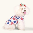 Two cute dogs posing in CuteBone summer vests
