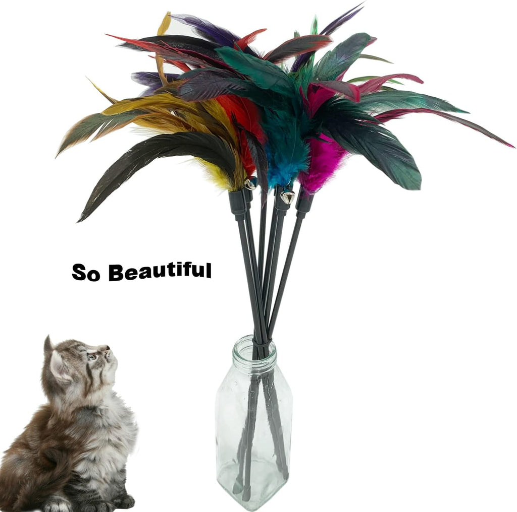 Six pieces of interactive kitten teaser wands with bright natural feathers spread out