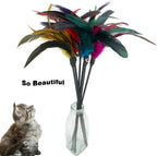 Six pieces of interactive kitten teaser wands with bright natural feathers spread out
