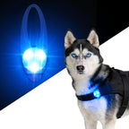 LaRoo Dog Lights for Night Walking, LED Dogs Collar Lights for Nighttime Clip On Light up Dog Collar Pet Camping Essentials Orange - Image 12