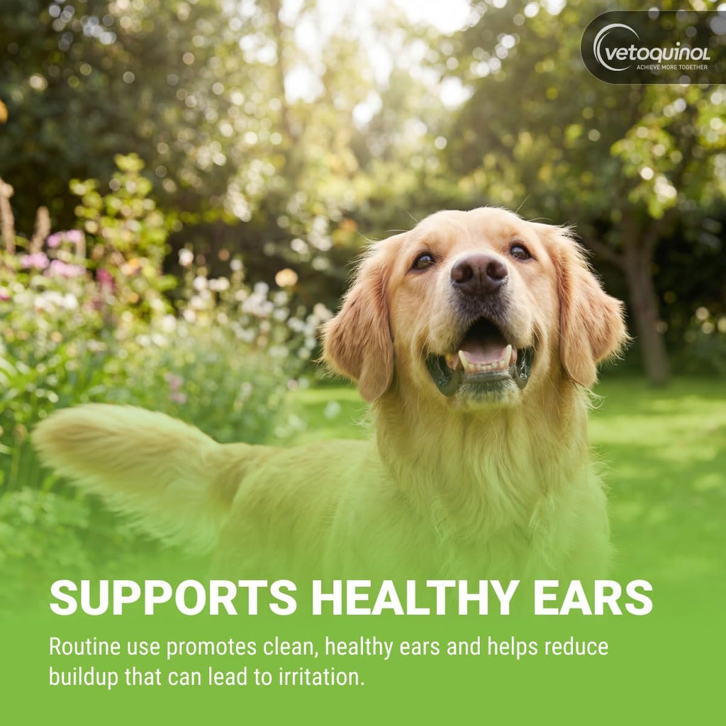 Dog ears routine cleaning with Vetoquinol solution
