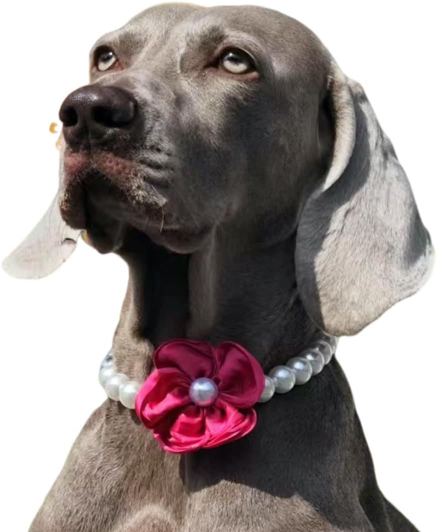 Elegant Pearl Flower Dog Necklace - Adjustable & Stylish for Weddings, Birthdays, and Parties - Image 10