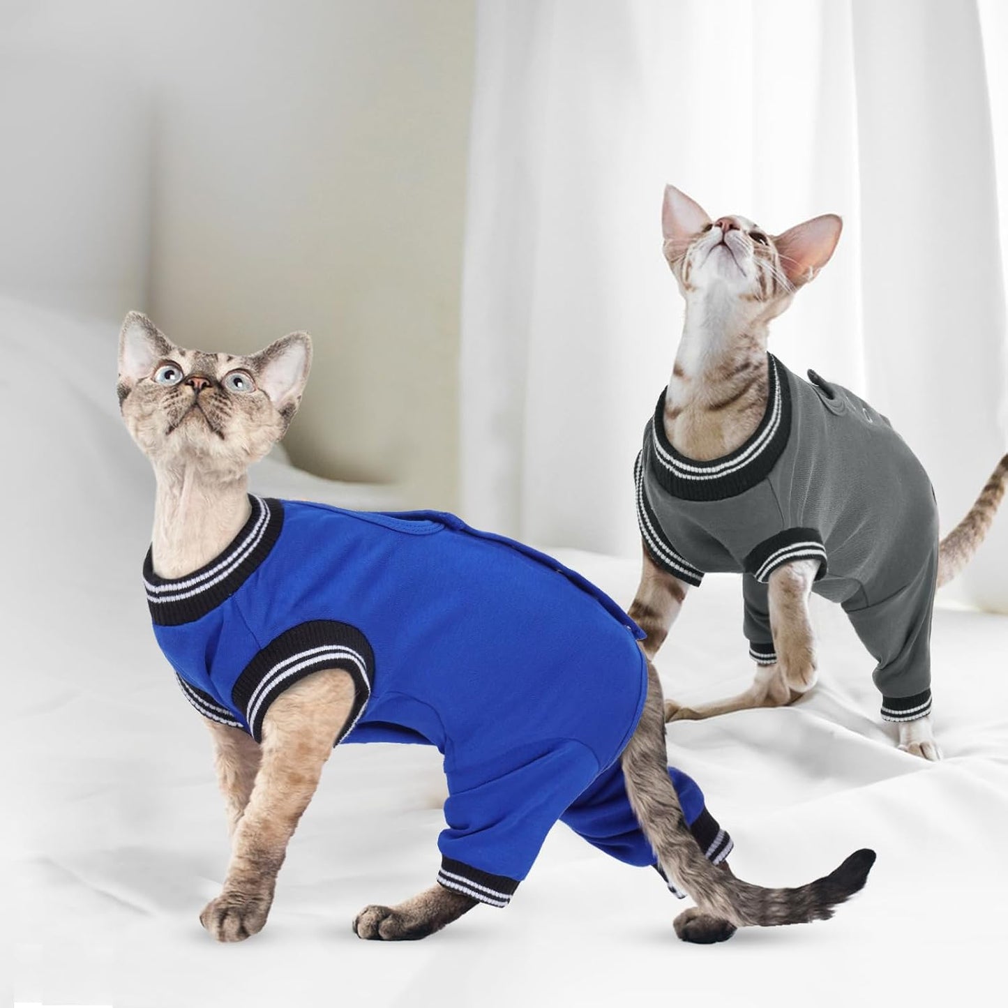 Cat wearing post-op recovery suit eating from bowl