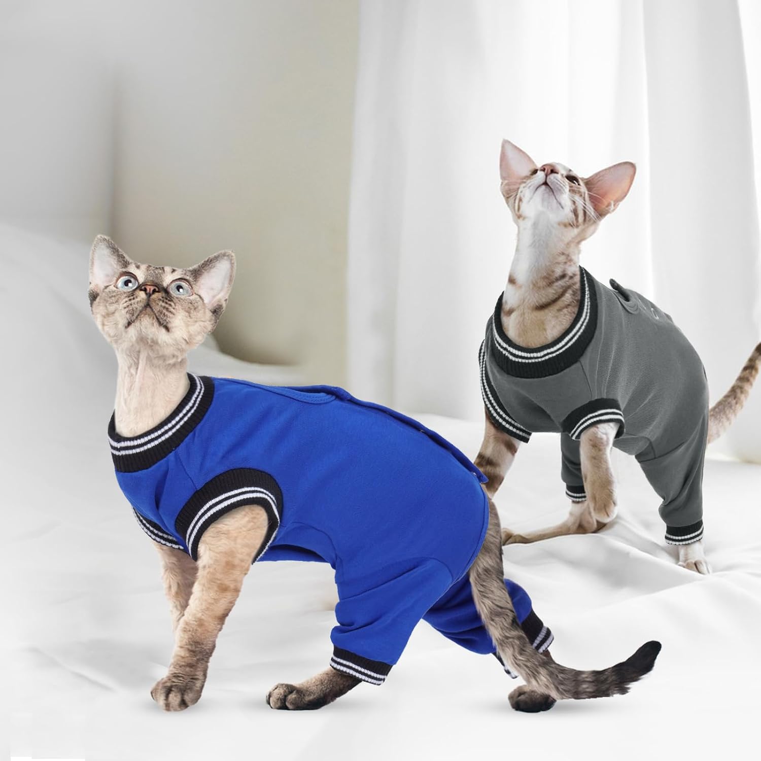 Cat wearing post-op recovery suit eating from bowl
