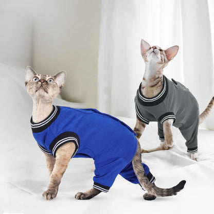 Cat wearing post-op recovery suit eating from bowl