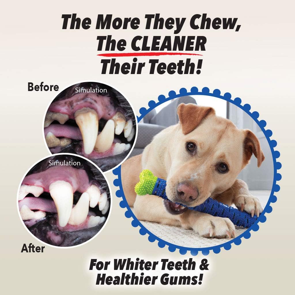 Medium sized dog interacting with the authentic imported dental toy bone