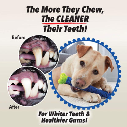 Medium sized dog interacting with the authentic imported dental toy bone