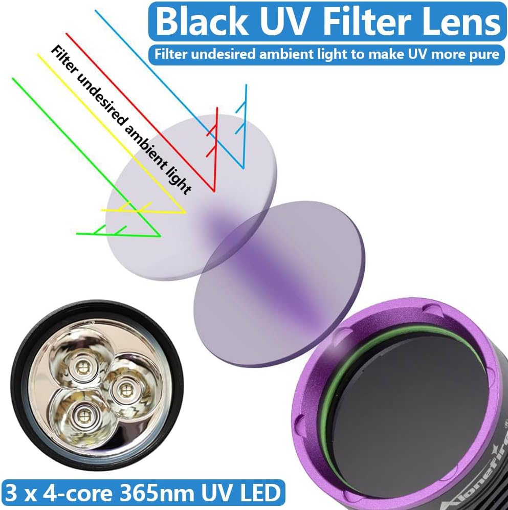 High power 36 Watt UV light illuminating hidden pet urine stains on a living room carpet.