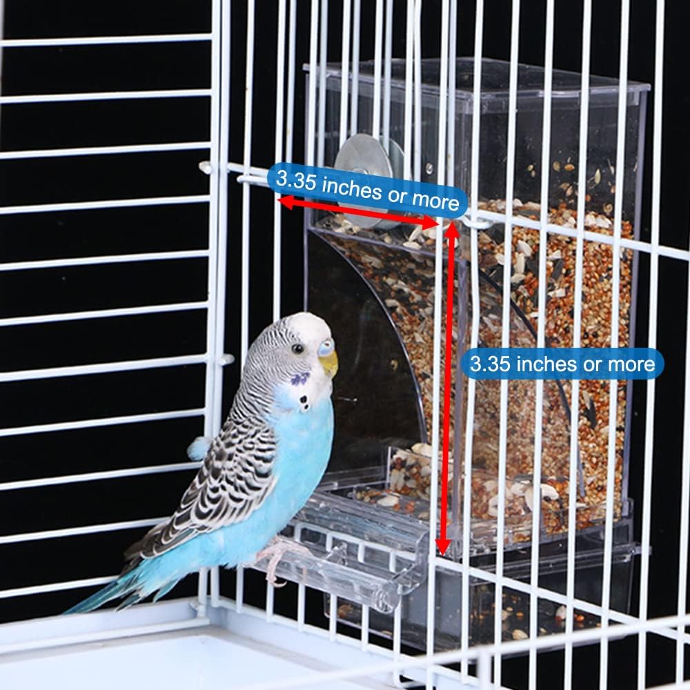 Transparent acrylic parrot seed container with removable top lid