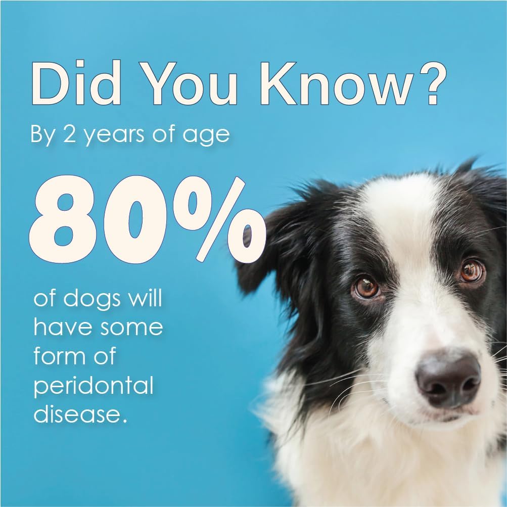 Close up of Ora-Clens dental care gel for dogs