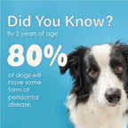 Close up of Ora-Clens dental care gel for dogs