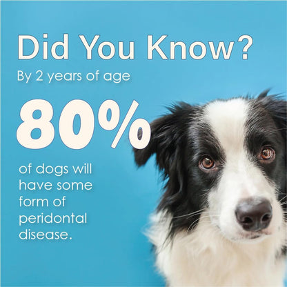 Close up of Ora-Clens dental care gel for dogs