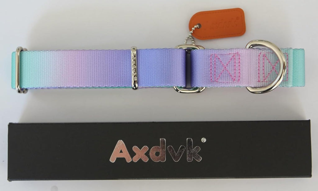 Axdvk no slip fashionable pet collar for outdoor walking and training