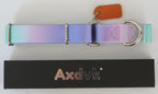Axdvk no slip fashionable pet collar for outdoor walking and training