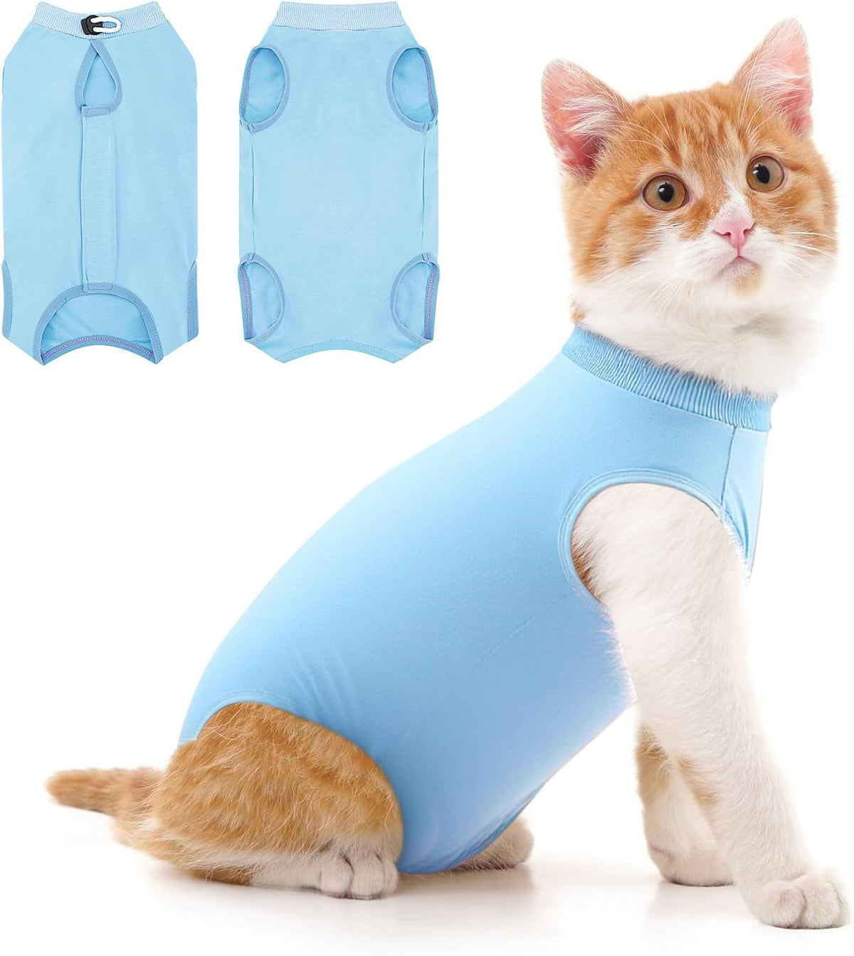 Comparison of cat in cone versus cat in recovery suit