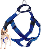 2 Hounds Design Freedom No Pull Dog Harness, Adjustable Harness, Easy Walking & Comfortable Control, Fits Small, Medium & Large Dogs, Solid Colors, Made in USA, 1" MD, Teal - Image 12