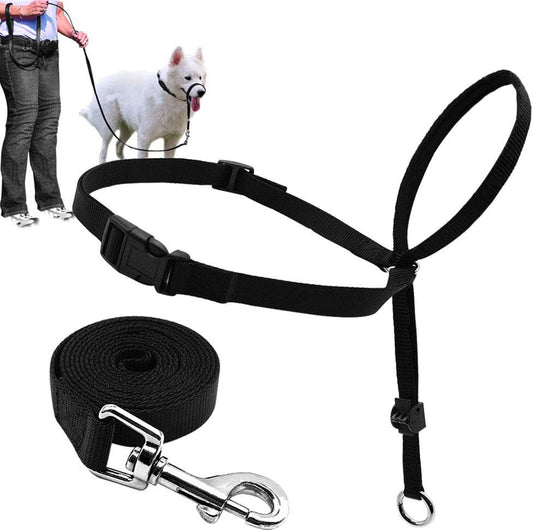 Barkless dog head collar authentic USA import front view on large dog