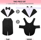 Black and white dog holiday costume with satin shirt buttons