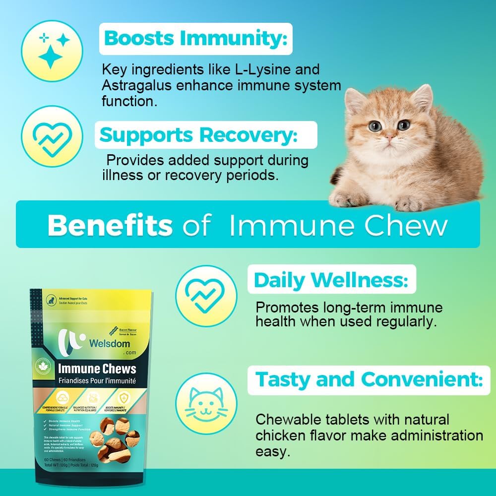 Happy cat eating Welsdom immune support supplement