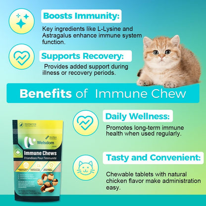 Happy cat eating Welsdom immune support supplement