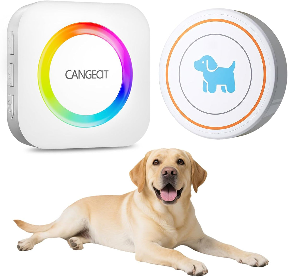 Dog Door Bell for Potty Training to Go Outside, Wireless Doggie Doorbell for Dogs, Puppy Training Bell with Touch Button, IP65 Waterproof, 1000ft Range, 55 Chimes & Adjustable Volume (2 Buttons-White) - Image 11