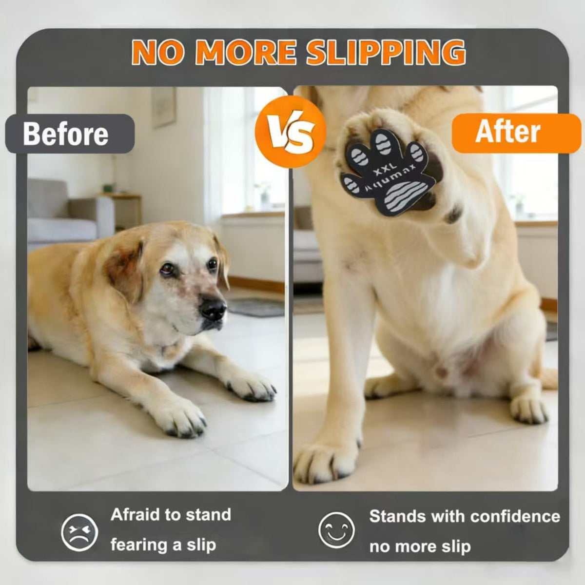 Side view of dog wearing breathable silicone traction pads