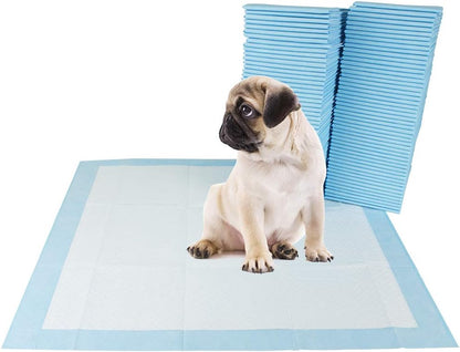 Potty training routine layout featuring the built in attractant pet pad.