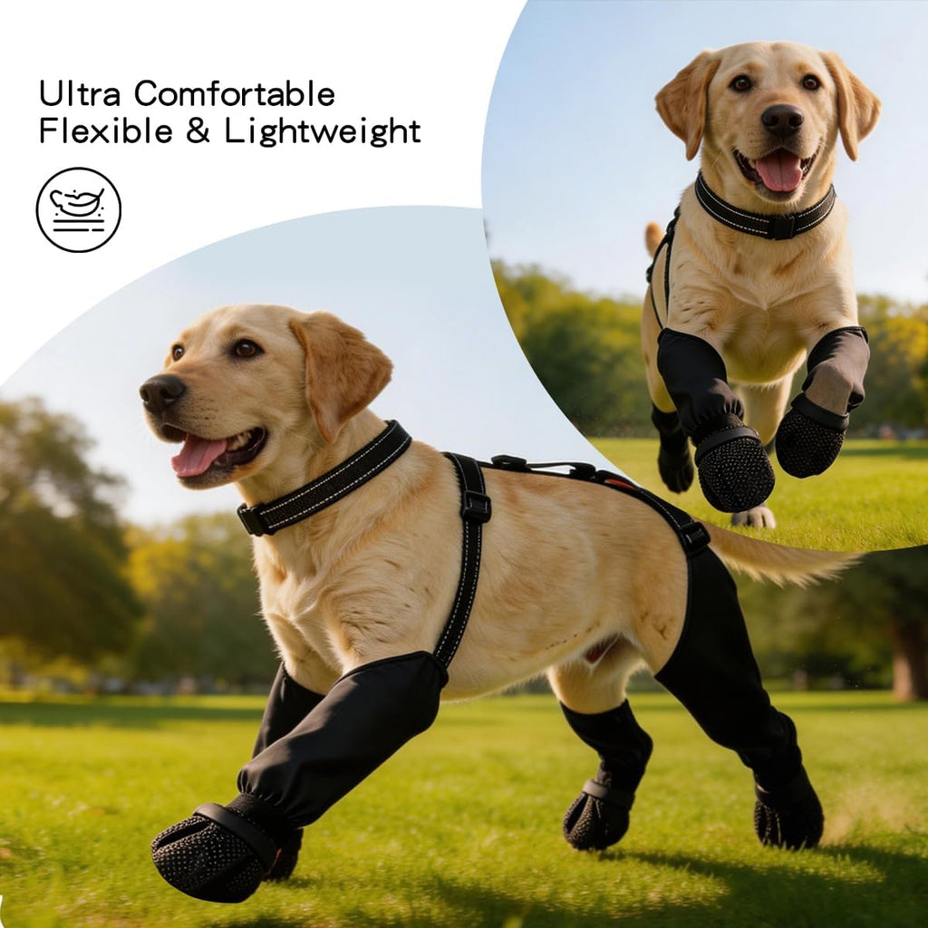 Adjustable suspender mechanism on Zermatigo dog boots