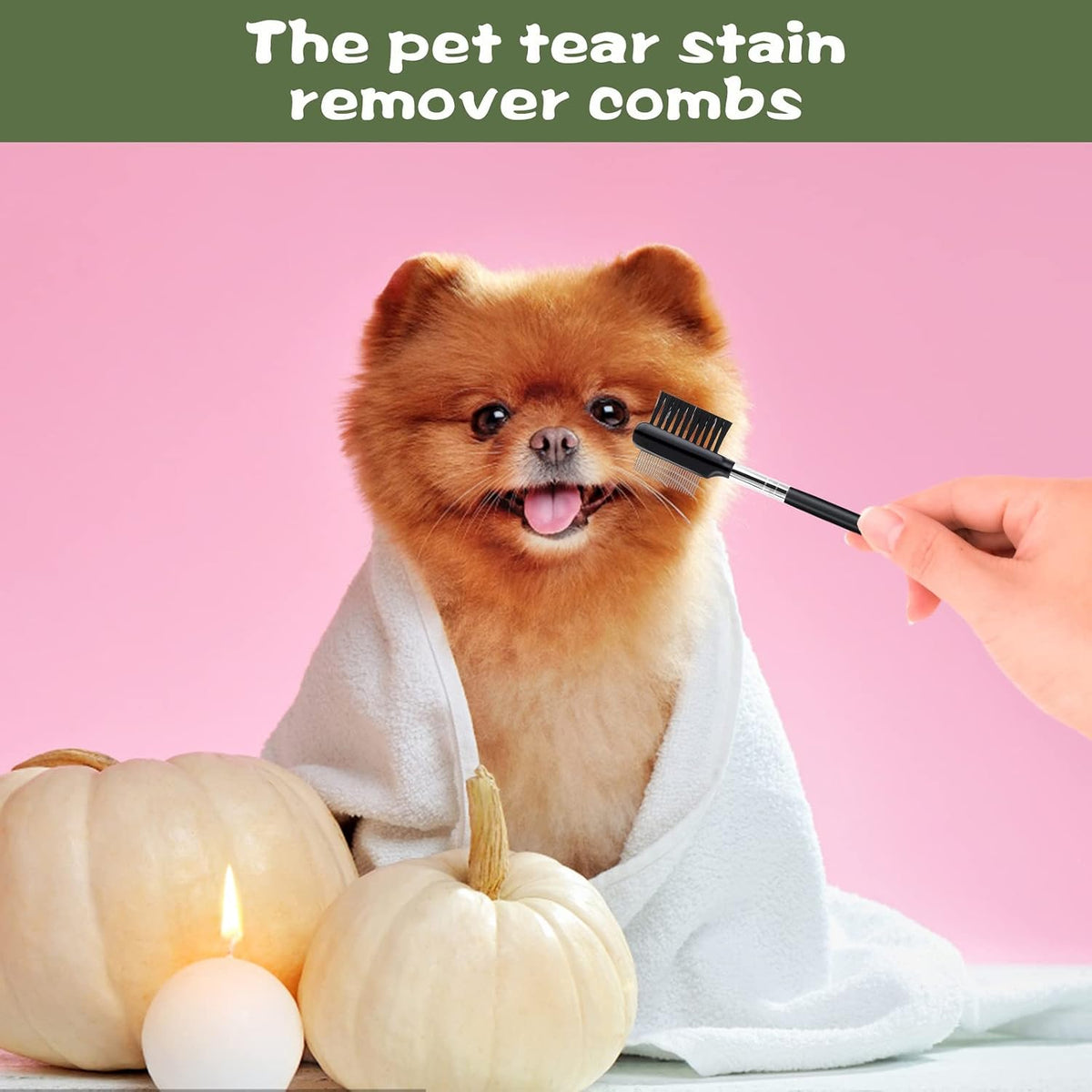 Grooming comb being used gently around a small dog's eyes to clear tear stains.