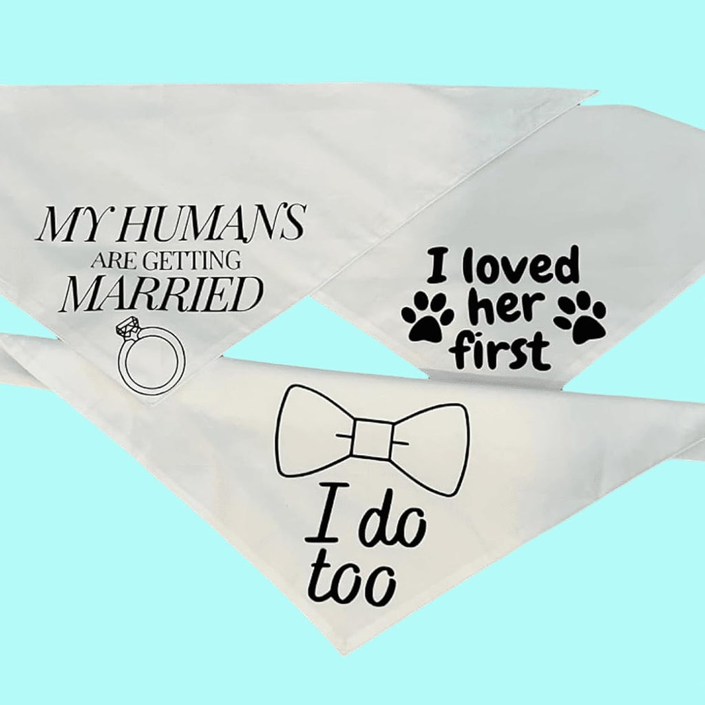 Gofshy large blank pet triangle bib for Cricut vinyl crafts
