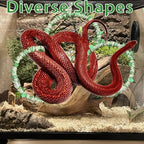 Snake Climbing Rings for Ball Python- Enclosure Accessories - Reptile Habitat Decor, Climbing Branches & Bedding for Ball Python, for Corn Snake Enhancement Ring Toys - Image 5