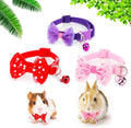 DQITJ rabbit adjustable collar front view