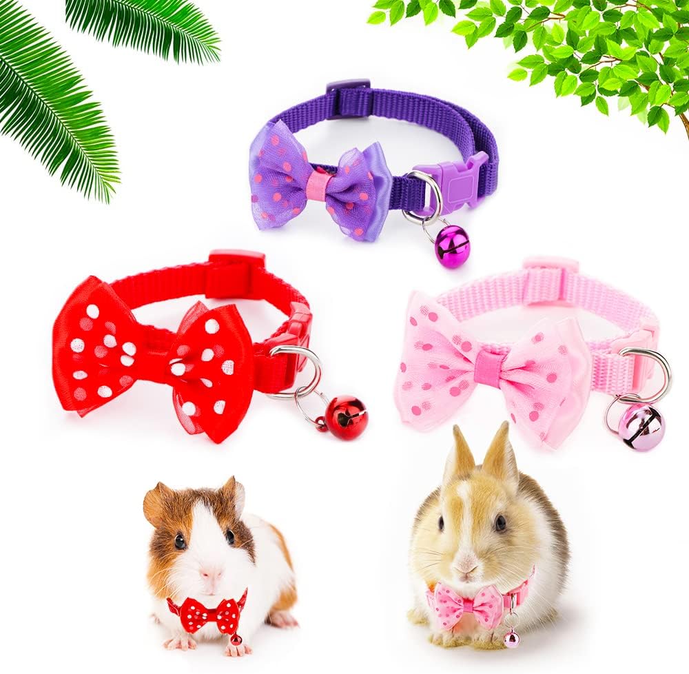 DQITJ rabbit adjustable collar front view