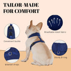 AVERYDAY premium dog tuxedo harness adjusted perfectly on a large breed family pet