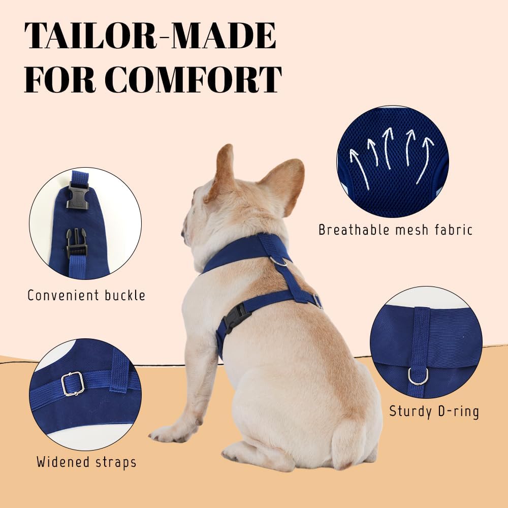 AVERYDAY premium dog tuxedo harness adjusted perfectly on a large breed family pet