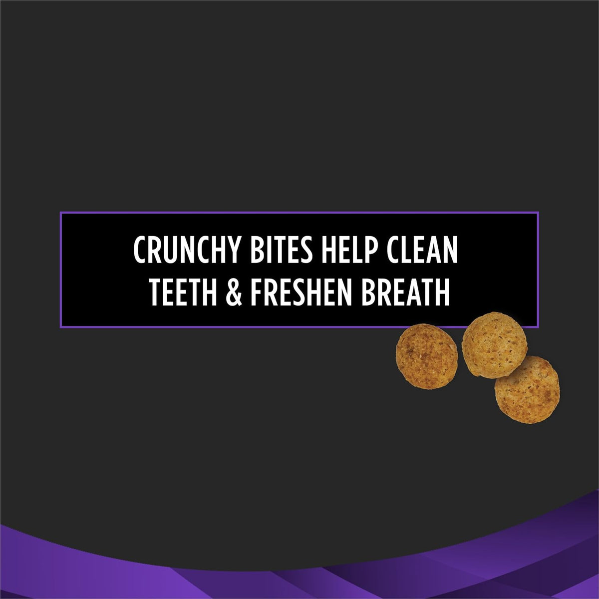 Pro Plan Veterinary Diets Dental Bites feline dental snacks bowl