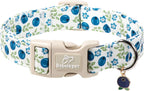 Detailed pattern view of 4th of July stars and popsicle collar