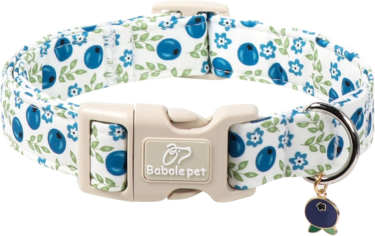 Detailed pattern view of 4th of July stars and popsicle collar