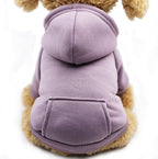 Cute cat wearing Jecikelon warm cold weather pet jacket costume