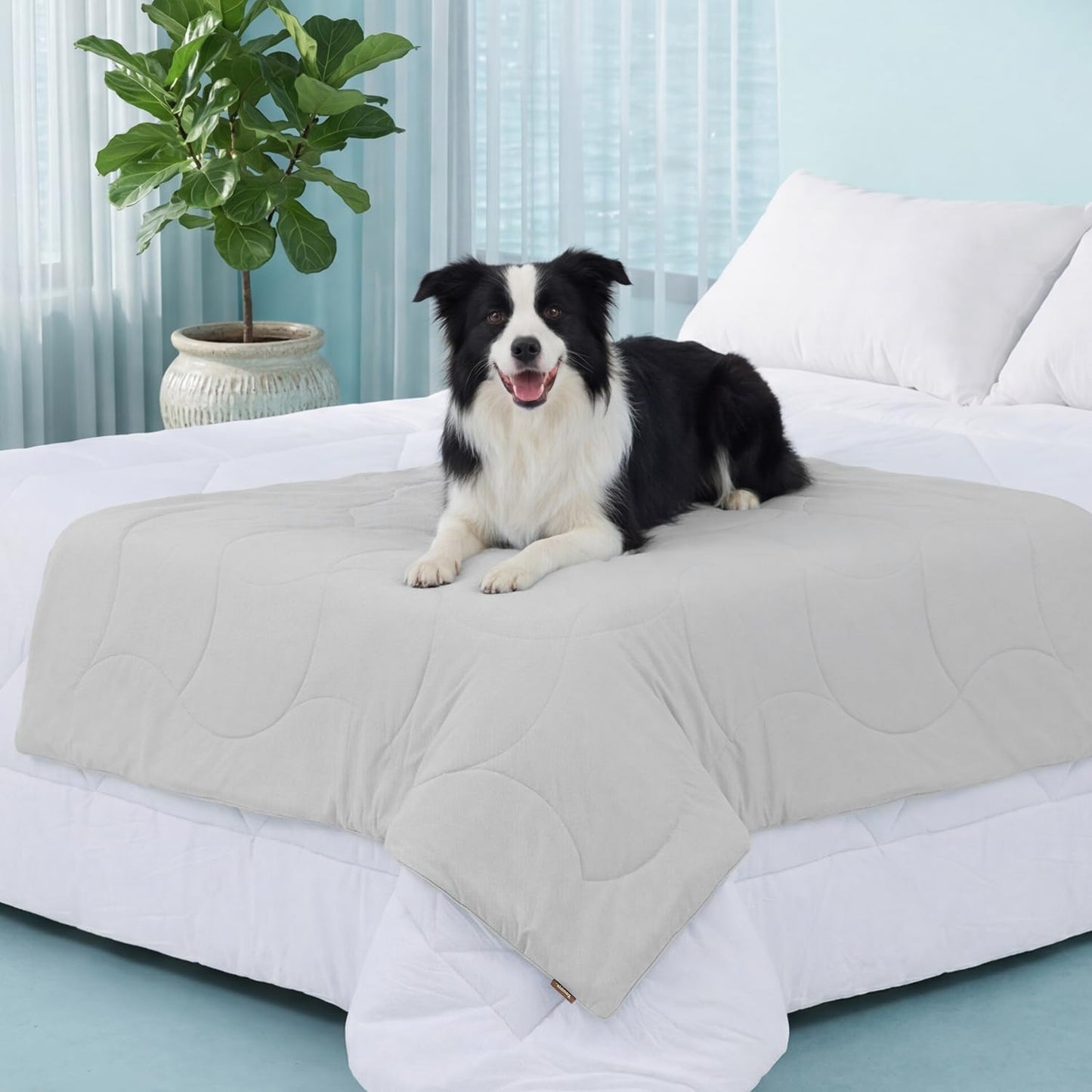ZOMISIA Premium Cooling Blanket for Large Dogs - Q-MAX>0.5 Breathable Washable Dog Cooling Mat, Travel Soft Pet Summer Essentials, Grey, 40"x50" - Image 14
