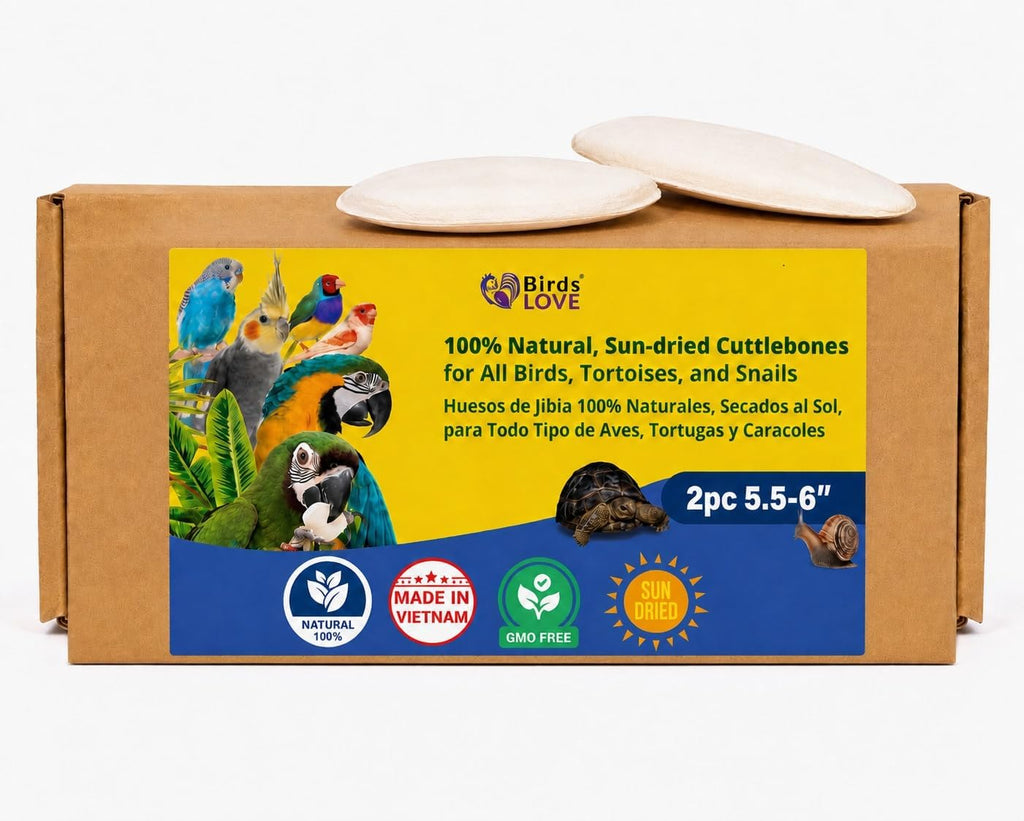Birds LOVE 3.5-4" Cuttlebone for Birds - 100% Natural Sun-Dried Calcium & Beak Conditioning Supplement for Parakeets, Budgies, Cockatiels, Finches & Canaries - 2 Pack with Holder - Made in Vietnam - Image 14