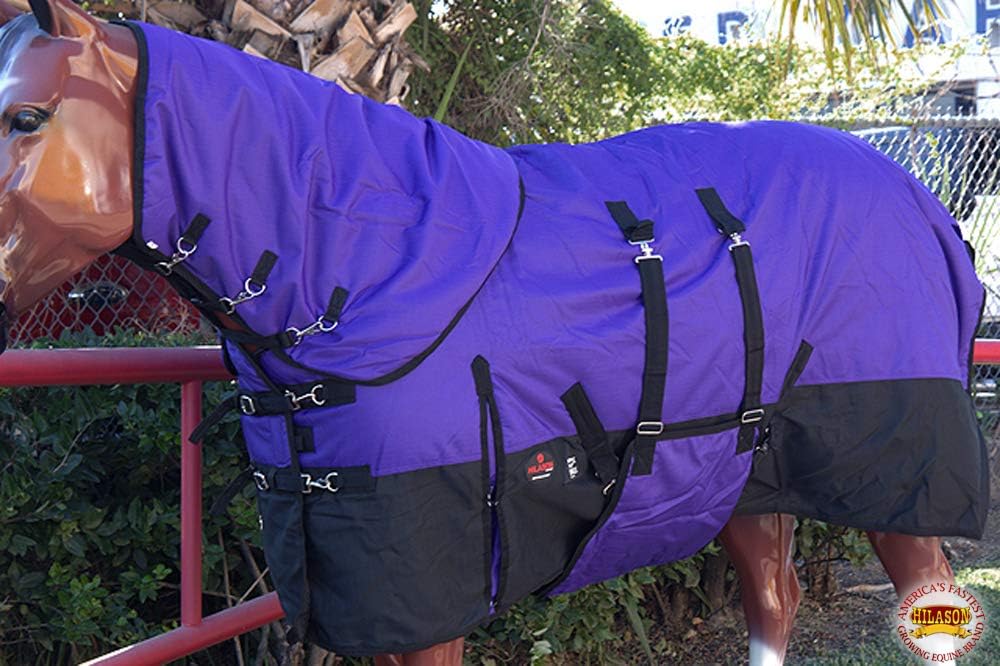 Hilason heavy duty turnout blanket purple belly wrap system detail