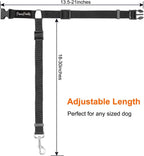 PawsPawty 2-in-1 dog seat belt and leash conversion