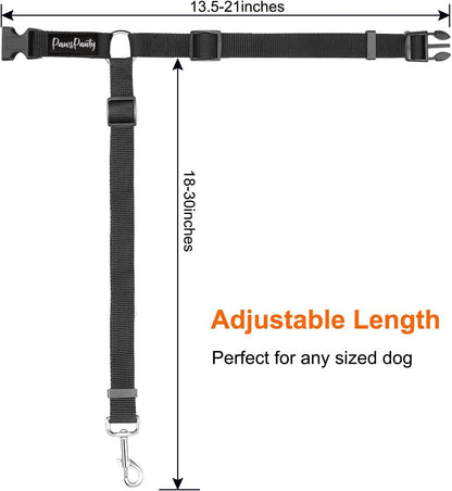 PawsPawty 2-in-1 dog seat belt and leash conversion