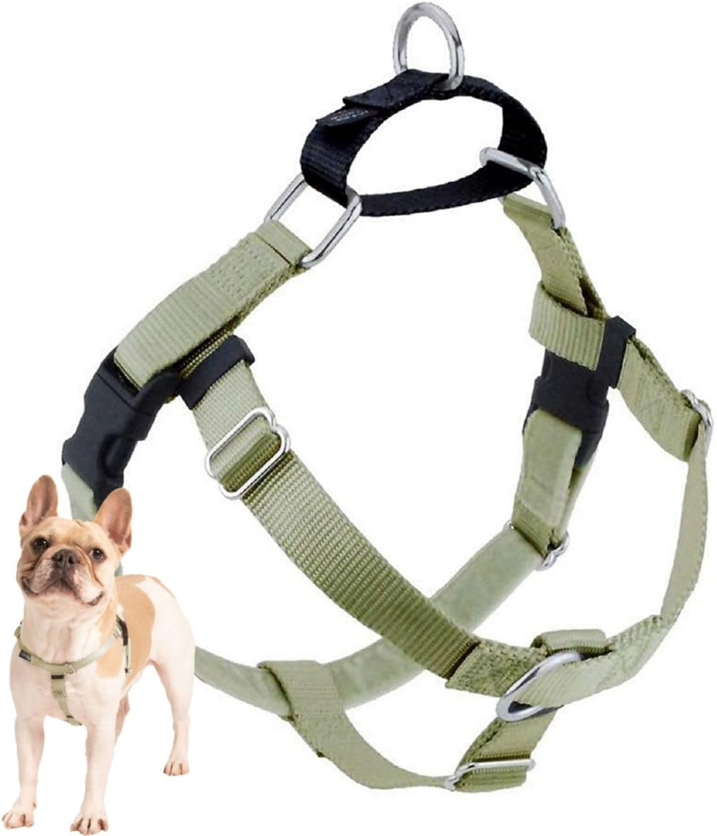 2 Hounds Design Freedom No Pull Dog Harness, Adjustable Harness, Easy Walking & Comfortable Control, Fits Small, Medium & Large Dogs, Solid Colors, Made in USA, 1" MD, Teal - Image 13