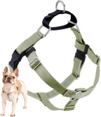 2 Hounds Design Freedom No Pull Dog Harness, Adjustable Harness, Easy Walking & Comfortable Control, Fits Small, Medium & Large Dogs, Solid Colors, Made in USA, 1" MD, Teal - Image 13