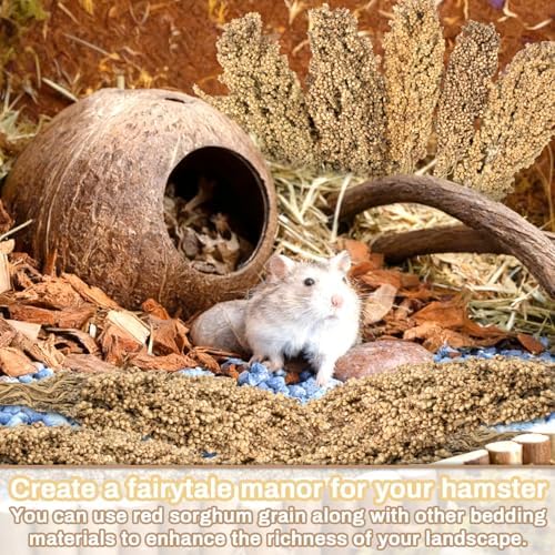 Sukh Natural Hamster Sprays - 5pcs Natural Sun-Dried Red Sorghum Grain,Flower & Herb Grain Stalks for Cage Habitat Bedding Decor for Dwarf Syrian Hamsters,Gerbils,Mice,Cockatiels - Image 6