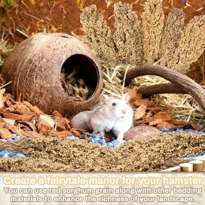 Sukh Natural Hamster Sprays - 5pcs Natural Sun-Dried Red Sorghum Grain,Flower & Herb Grain Stalks for Cage Habitat Bedding Decor for Dwarf Syrian Hamsters,Gerbils,Mice,Cockatiels - Image 6